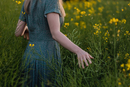 Young woman hand moving over grass field with yellow flowers with sun soft light. Touching nature plants, close up passing hand. Concept of feeling free and happy, optimistic. Woman in the field.