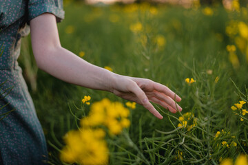Young woman hand moving over grass field with yellow flowers with sun soft light. Touching nature plants, close up passing hand. Concept of feeling free and happy, optimistic. Woman in the field.