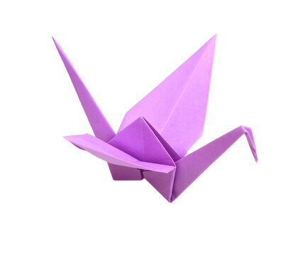 Violet origami paper crane