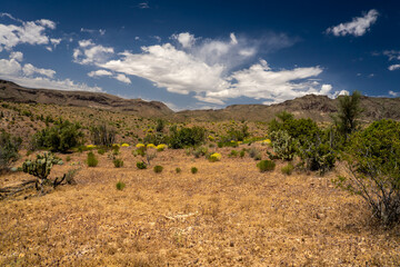 This is a view of the mountains, clouds, wildflowers, and the beautiful desert of the Burro Creek Wilderness area in Arizona.