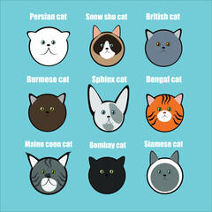 cute cat breed set vector illustration
