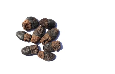 Ssemecarpus Anacardium, Marking Nut or Phobi Nut Isolated on White Background with Copy Space for Texts Writing