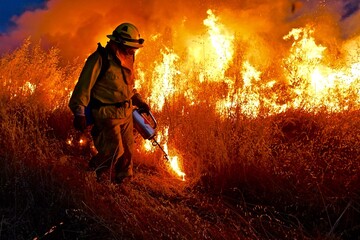 Firefighter burning vegetation with drip torch.