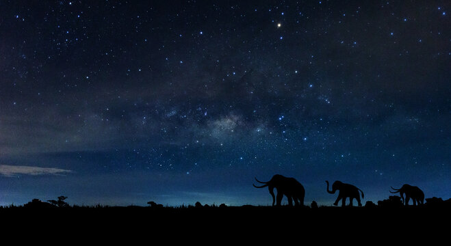 Amazing Panorama blue night sky milky way and star on dark background.Universe filled with star, nebula and galaxy with noise and grain. Over Light and selection focus.with Silhouette of the  Elephant