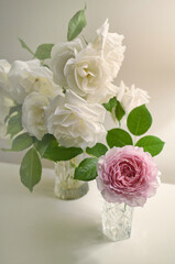 Attractive arrangement of white roses and a pink peony in crystal glass vases with delicate lighting.