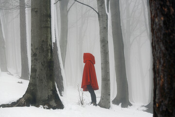 Red hooded person in a misty forest