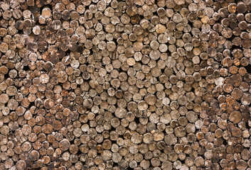 decorative cross section view  cutting wood