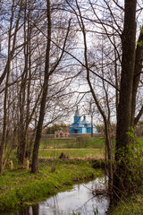 Fototapeta premium Wiosna w Dolinie Górnej Narwi, Podlasie, Polska
