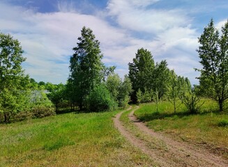 winding country road on a slope among the trees near the river against the blue sky with clouds on a sunny day