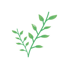 plant with leaves icon, flat style