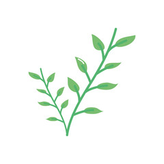 Fototapeta premium plant with leaves icon, flat style