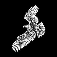 Black and White Flying Eagle Vector