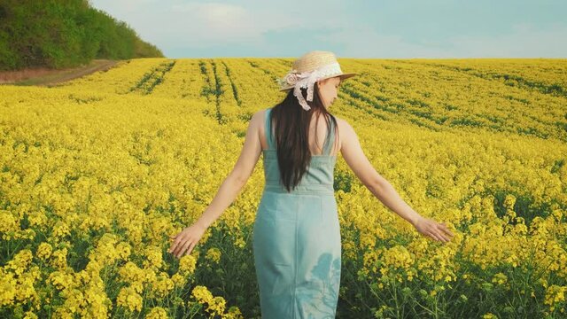 Silhouette of woman walks on yellow flowering field rapeseed blooming summer flowers meadow. Happy girl enjoy recreation, spring nature blue sky. straw hat dress back rear view. slow motion 4k footage