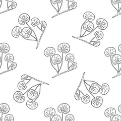 Gotu kola, sketch, seamless 2-2