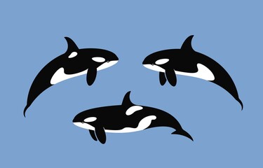 Killer Whale logo. Isolated killer whale on white background