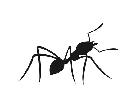 Creative design of ant illustration