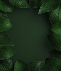 Minimal nature background for summer concept. Hosta leaf frame on green background. 3d render illustration. Object isolate clipping path included.