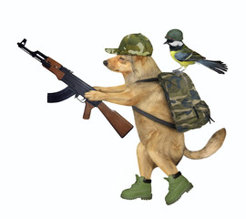 The beige dog in military uniform is walking with a Kalashnikov automatic rifle. A bird in an army...
