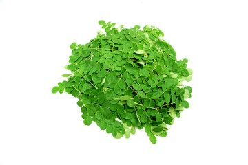 Obraz premium Moringa leaf isolated on white, super food for health.