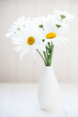 Bouquet of Daisies in a White Vase