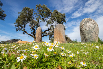 cromlech Vale Maria do Meio , Nossa Senhora da Graça do Divor ,Évora, Alentejo, Portugal © Tolo