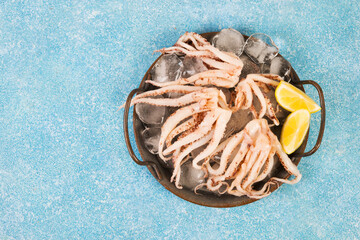 Raw fresh squid tentacles on a blue concrete background, top view