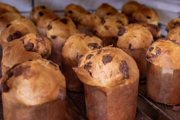 Chocotone, a special Christmas chocolate chip cake