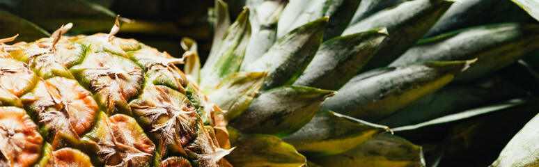 close up view of fresh ripe pineapple with green leaves, panoramic shot