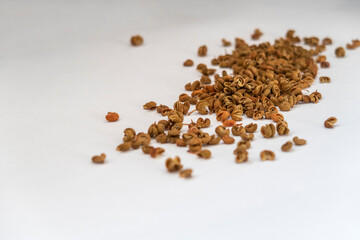 Chinese pepper scattered on white background. Selective focus. Copy space.