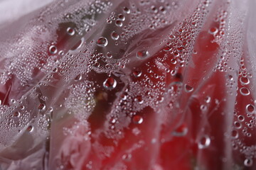 strawberries in plastic bag with water drops. close up