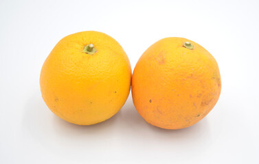 Two orange on white background