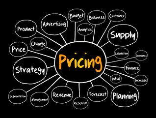 Pricing mind map flowchart, business concept for presentations and reports