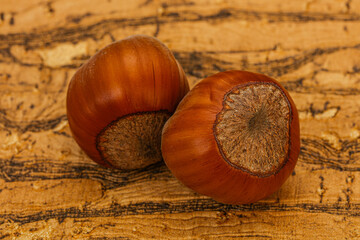 Two ripe tasty Whole hazelnut