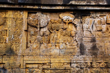 Carvin at the wall of Borobudur temple, Java, Indonesia
