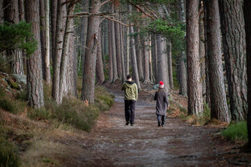 pareja caminando en la senda, bosque de Rothiemurchus, Loch an Eilein, Parque Nacional de Cairngorms, Highlands, Escocia, Reino Unido