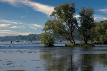 Rheinufer bei Gerstheim im Elsass