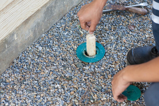 Men are replacing termite bait.Anti Termite Baiting System: