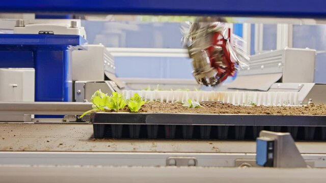 Automated planting process using advanced robot for planting leafs in trays for
