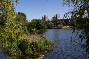 Obraz premium big lake in the park against of the city