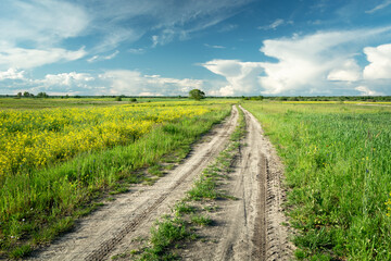 Fototapeta na wymiar Sandy road through fields and blue sky