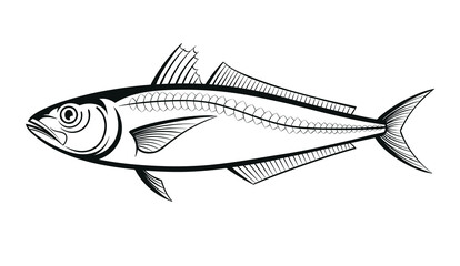 scad fish outline engraving vector illustration