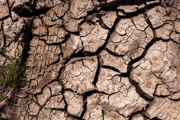 dried and cracked earth in the heat