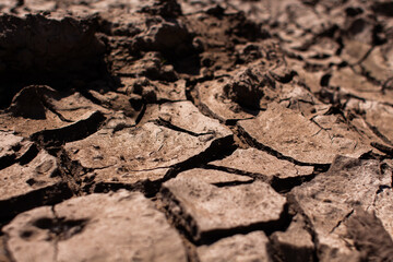 dried and cracked earth in the heat