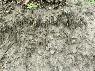 Cliff slope from gray earth.