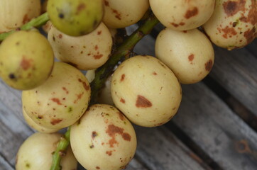 Tropical Fruit. Langsat