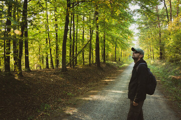 A man looking up at the trees in the green forest