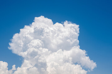 Naklejka premium Gorgeous view of cloud and blue sky with text space.