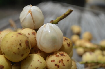 Tropical Fruit. Langsat