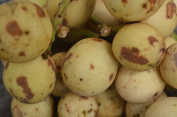Tropical Fruit. Langsat