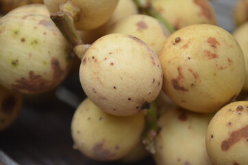 Tropical Fruit. Langsat